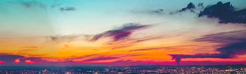 海丰茶虫网_海丰品茶